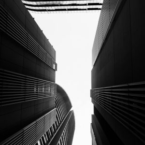 pexels-moab94-3555920